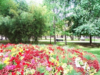 テュイルリー公園　Jardin des Tuileries