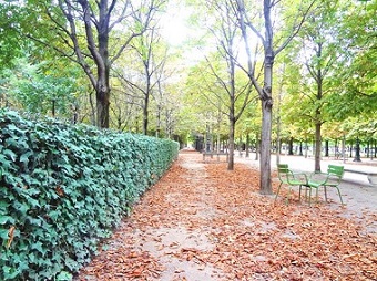 テュイルリー公園　Jardin des Tuileries